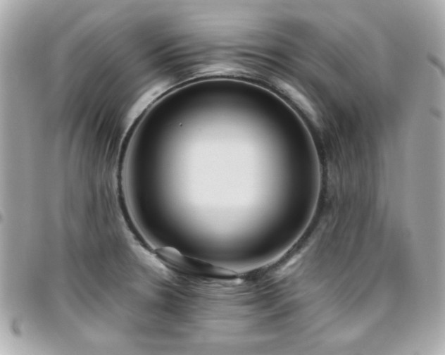 X0000096461330200801241358