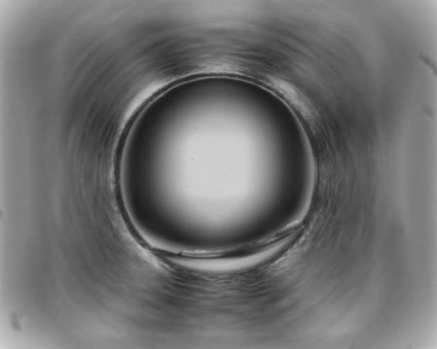 X0000096461331200801241358