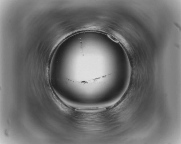 X0000096461332200801241358