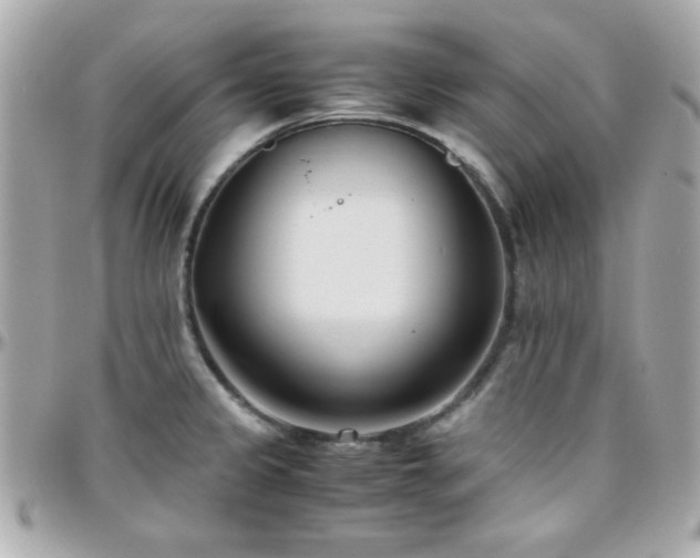 X0000096461333200801241358