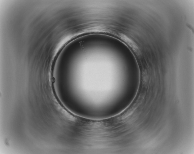 X0000096461334200801241358