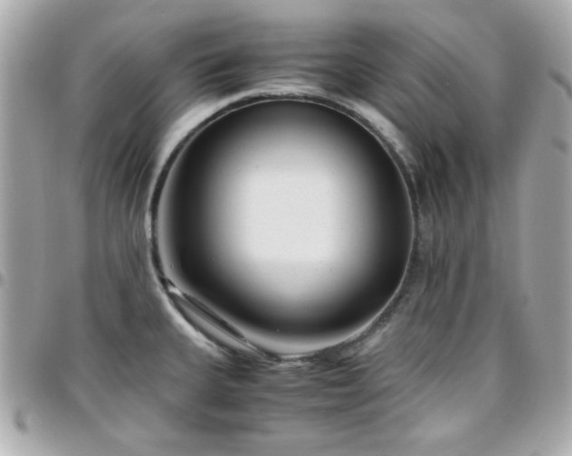 X0000096461335200801241358