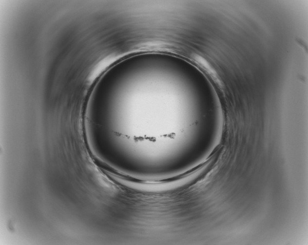 X0000096461336200801241358