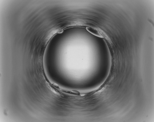 X0000096461337200801241358