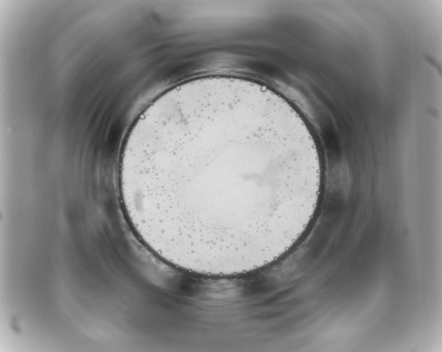 X0000096461338200801241358