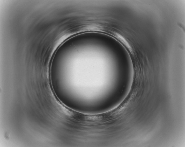X0000096461339200801241358