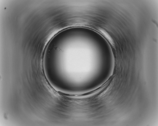 X0000096461340200801241358