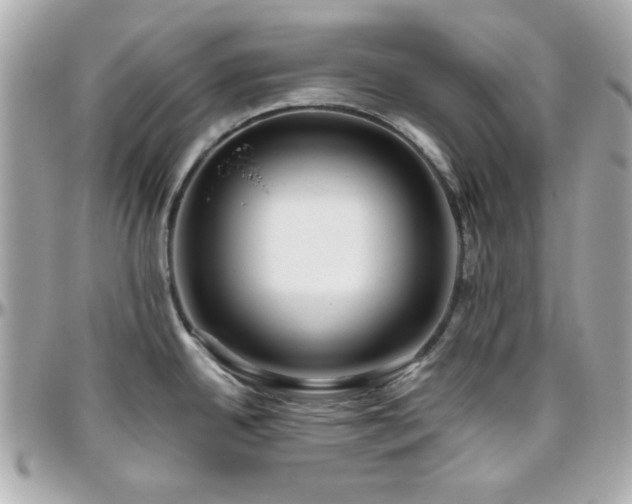 X0000096461342200801241358