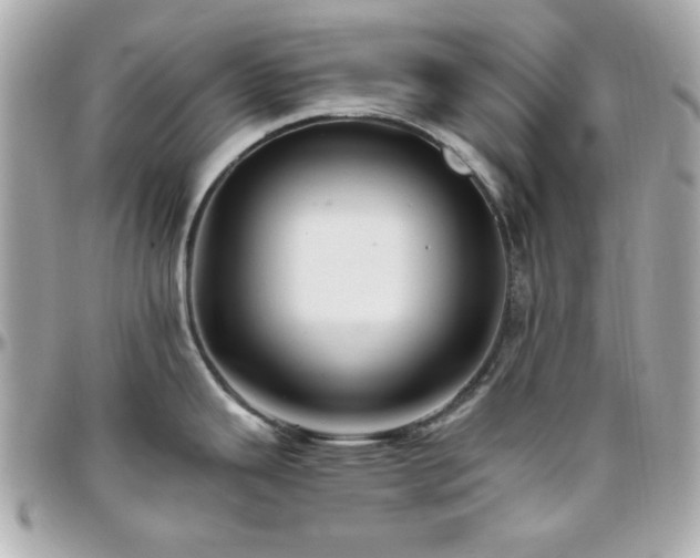 X0000096461343200801241358