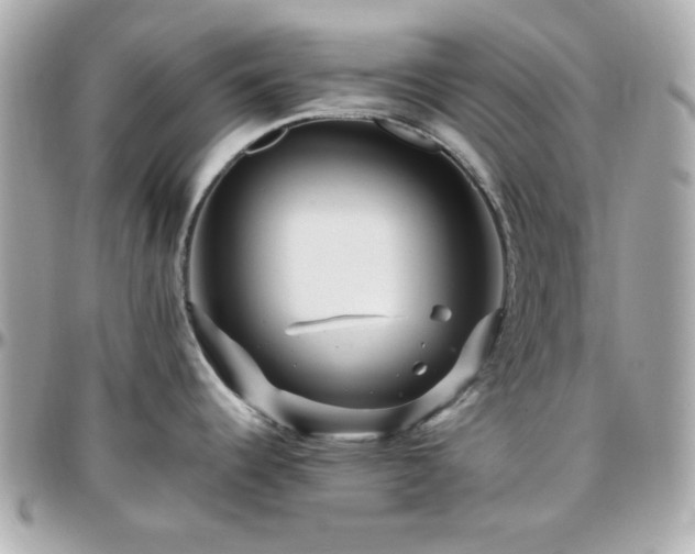 X0000096461344200801241358