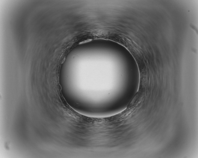 X0000096461345200801241358
