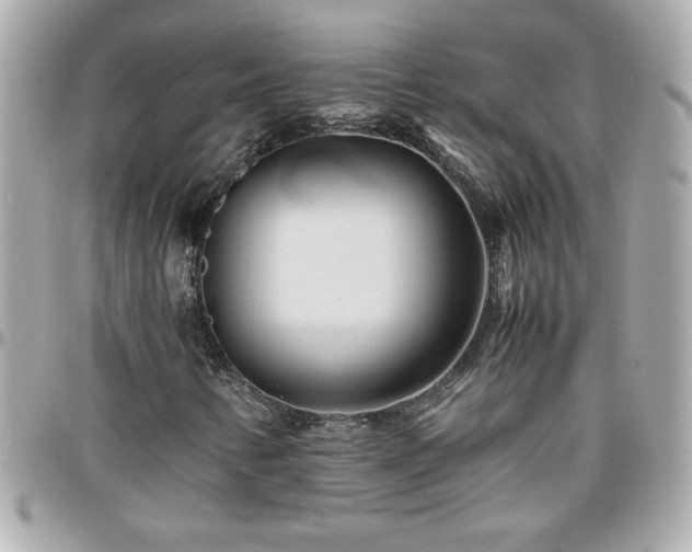 X0000096461346200801241358