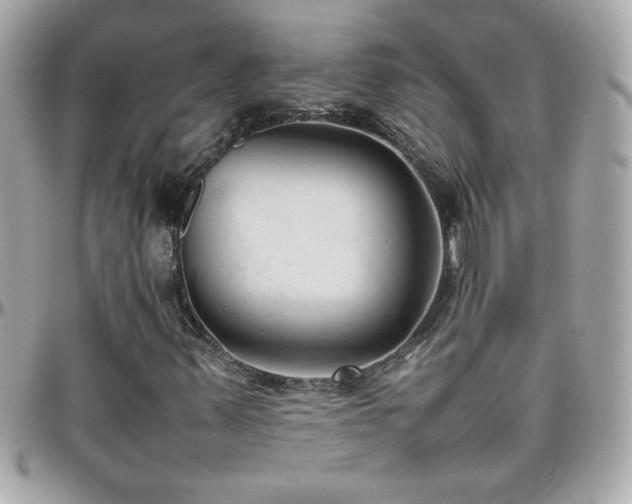 X0000096461347200801241358