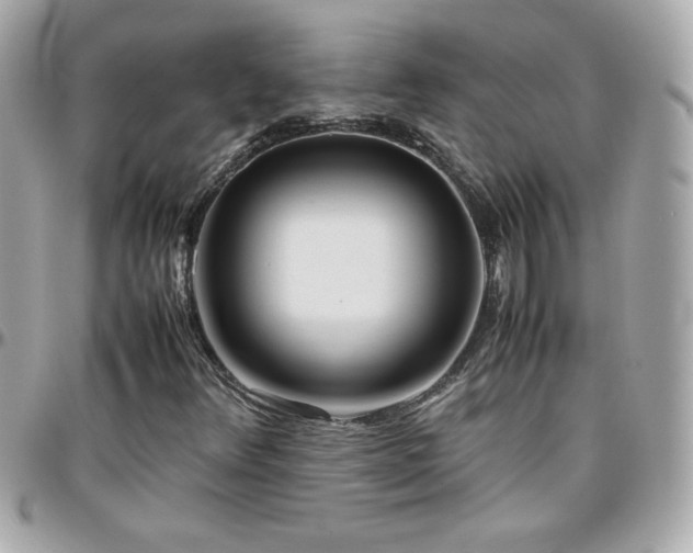 X0000096461348200801241358