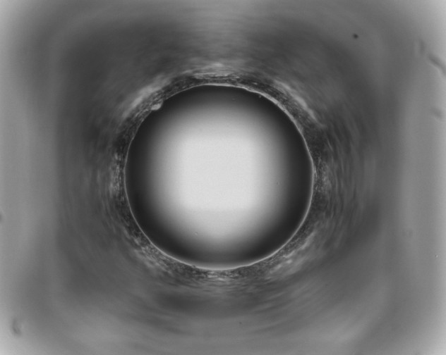 X0000096461350200801241358