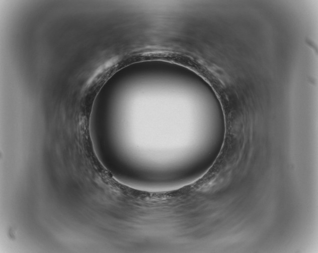 X0000096461351200801241357