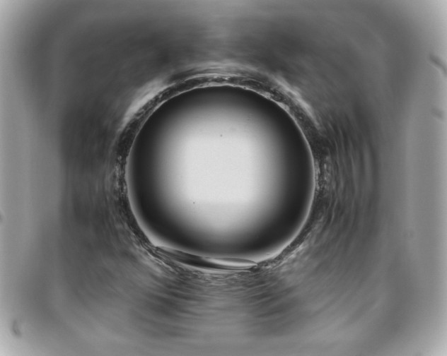 X0000096461352200801241357