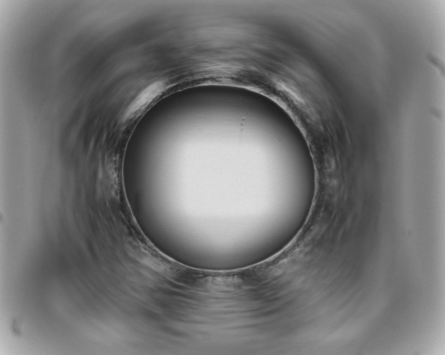 X0000096461354200801241357