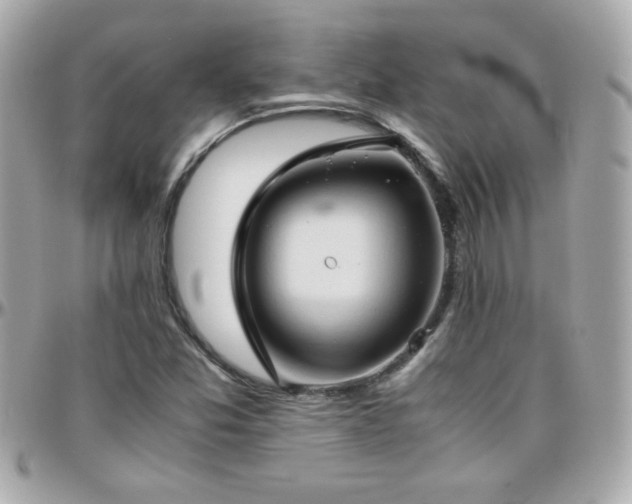 X0000096461357200801241357