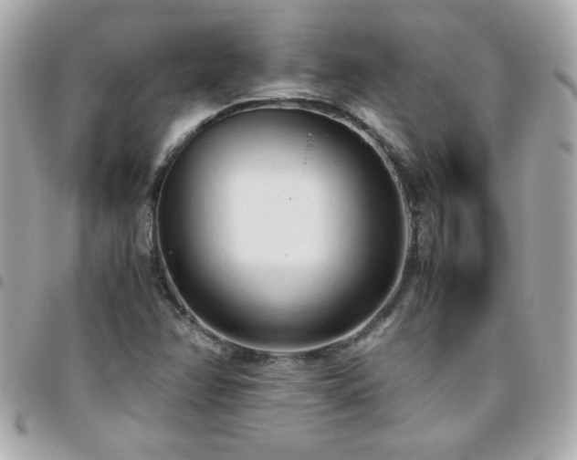 X0000096461358200801241357