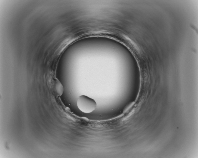 X0000096461361200801241357