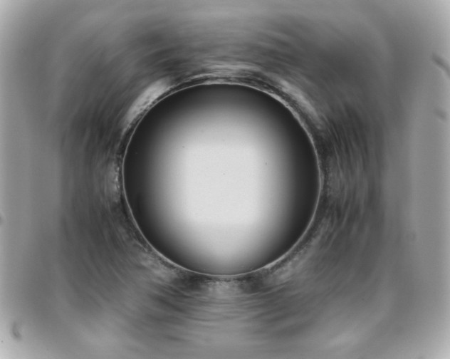 X0000096461362200801241357