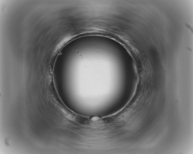 X0000096461363200801241357