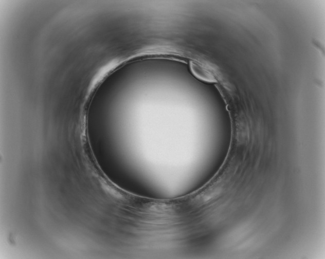 X0000096461366200801241357