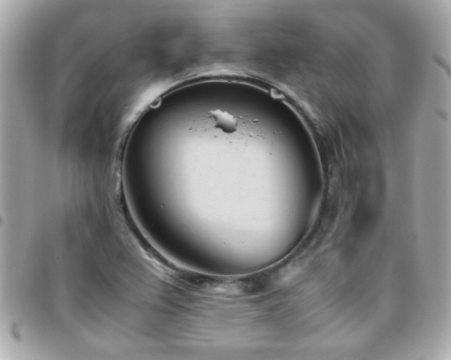 X0000096461367200801241357