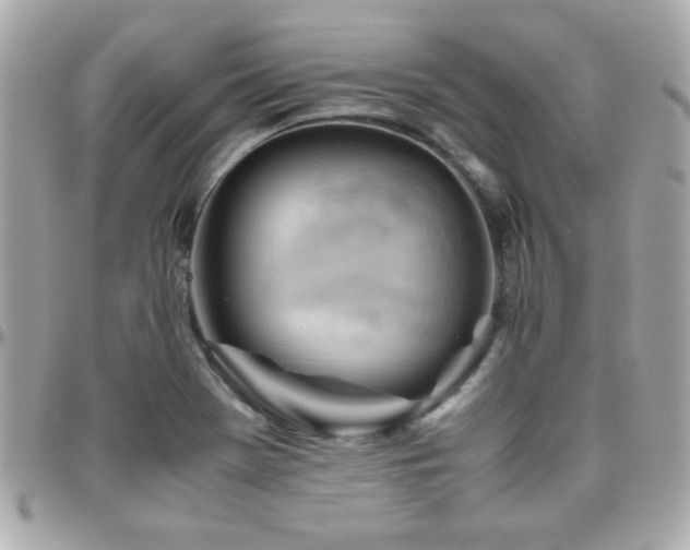 X0000096461369200801241357