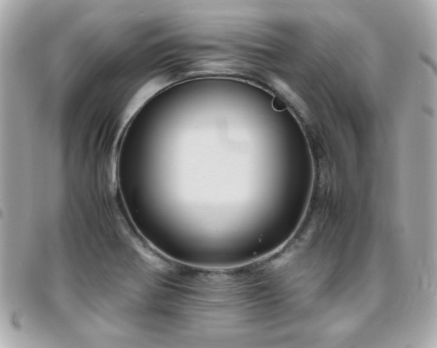 X0000096461370200801241357