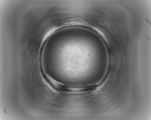 X0000096461373200801241357