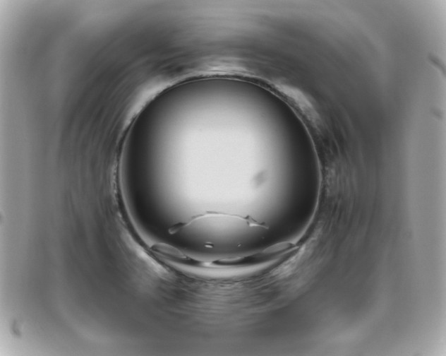 X0000096461374200801241357