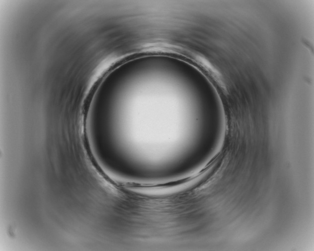 X0000096461376200801241357