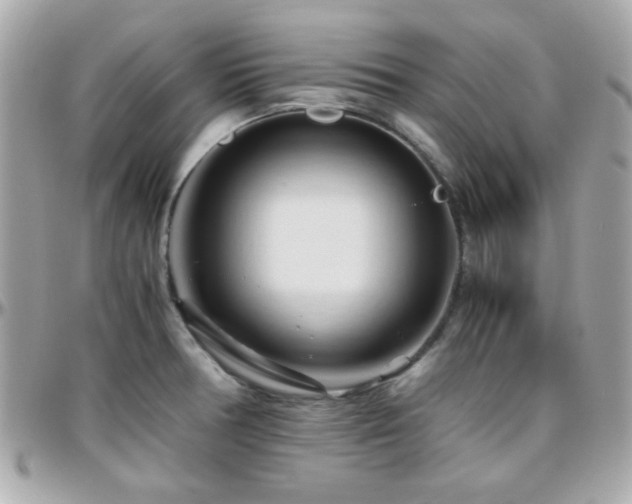 X0000096461378200801241357
