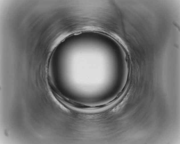 X0000096461381200801241357