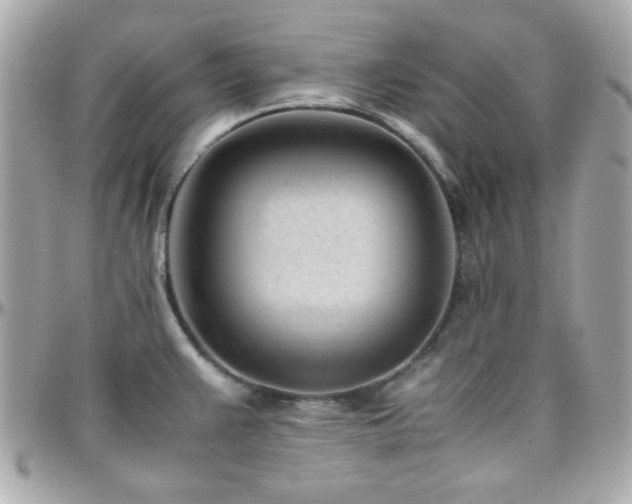 X0000096461383200801241357