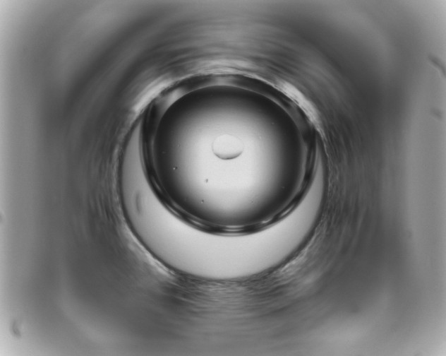 X0000096461384200801241357