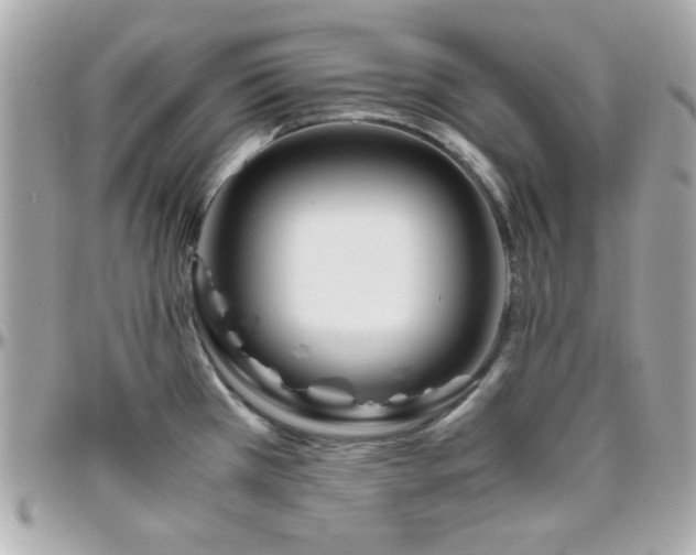 X0000096461385200801241357