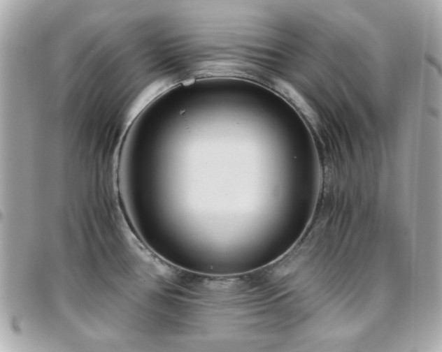 X0000096461386200801241357
