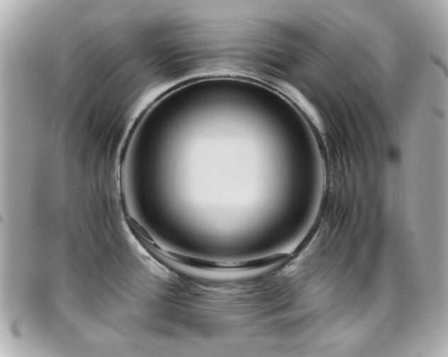 X0000096461388200801241357