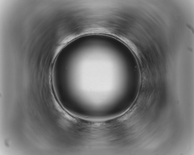 X0000096461390200801241357