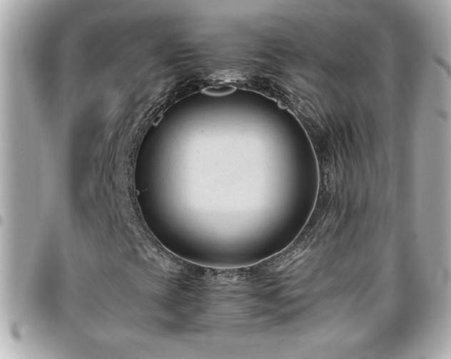 X0000096461393200801241356