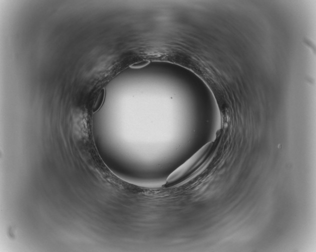 X0000096461394200801241356
