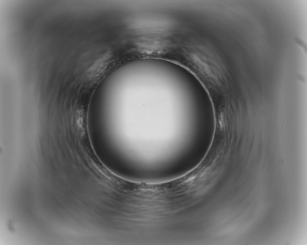 X0000096461396200801241356