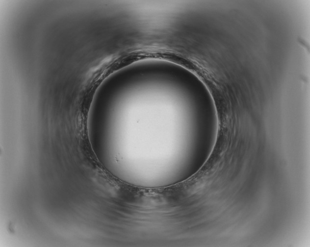 X0000096461398200801241356