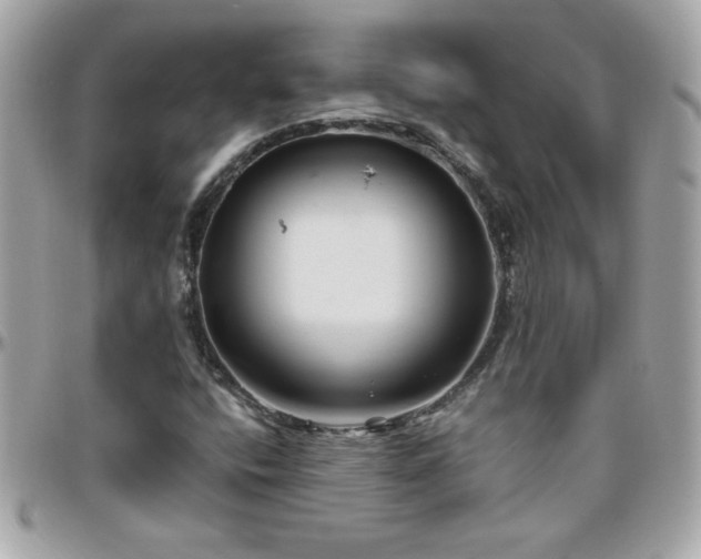 X0000096461400200801241356