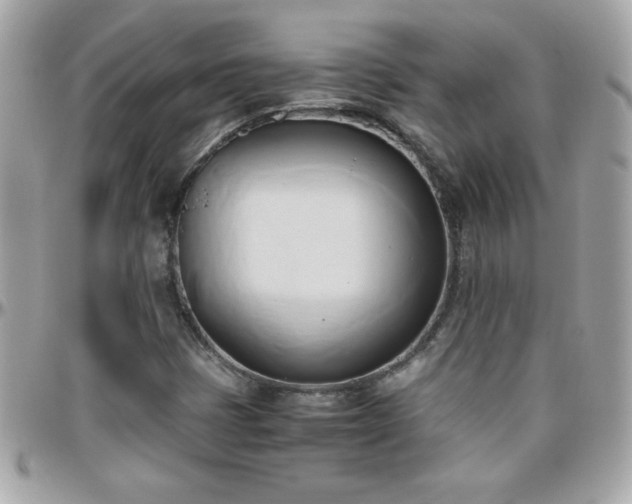 X0000096461401200801241356