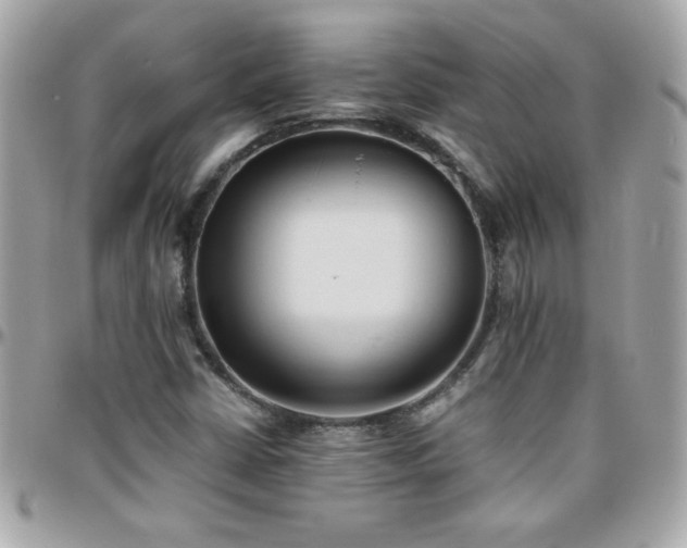 X0000096461402200801241356