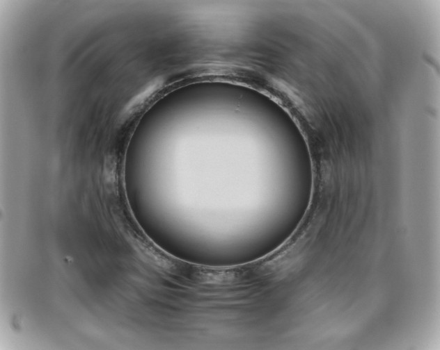 X0000096461403200801241356